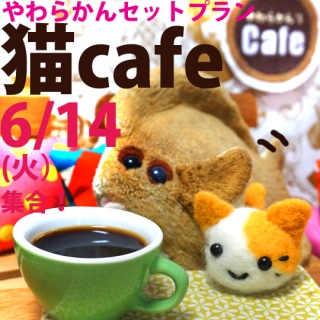 6��14�����硪���餫�󥻥åȥץ���ǭ���ե���