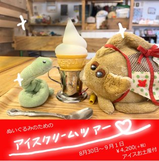 8��30��������̤�����ߤΤ���Υ��������꡼��ĥ���