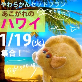 1��19�����硪���餫�󥻥åȥץ�����������Υϥ磻���ä��β��