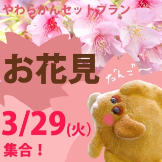 3��29�����硪���餫�󥻥åȥץ������ָ���